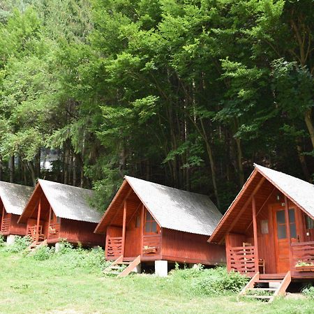 Cabanute Si Camping Dracula Capatineni-Paminteni Eksteriør bilde