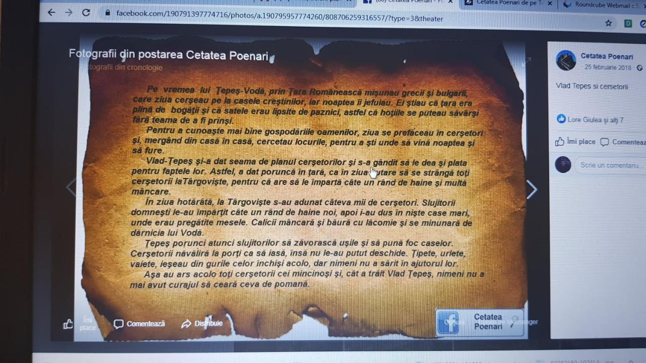 Cabanute Si Camping Dracula Capatineni-Paminteni Eksteriør bilde