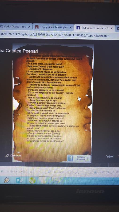 Cabanute Si Camping Dracula Capatineni-Paminteni Eksteriør bilde
