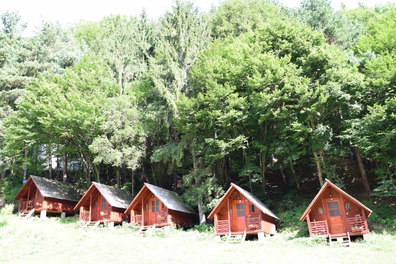 Cabanute Si Camping Dracula Capatineni-Paminteni Eksteriør bilde